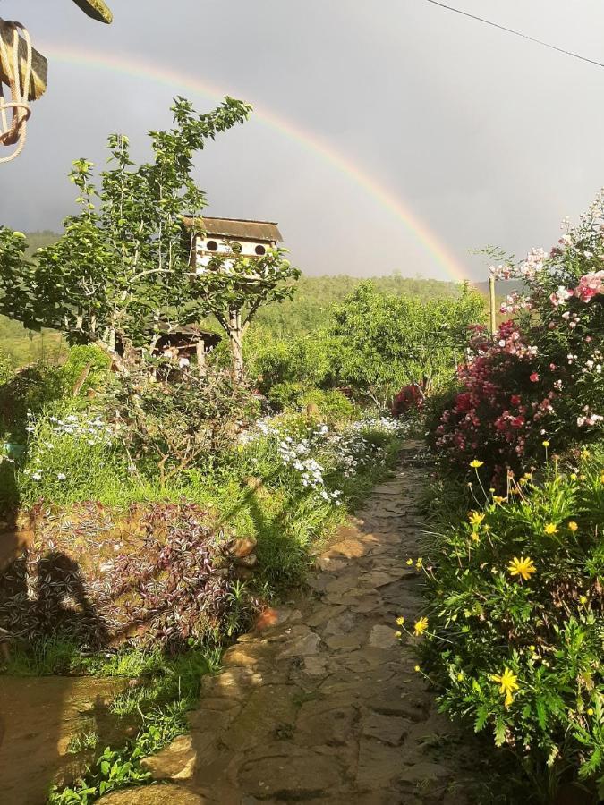 H'Mong Co Tran Sapa Homestay Dış mekan fotoğraf