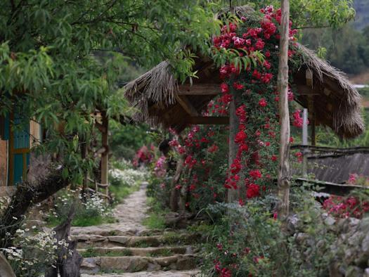 H'Mong Co Tran Sapa Homestay Dış mekan fotoğraf