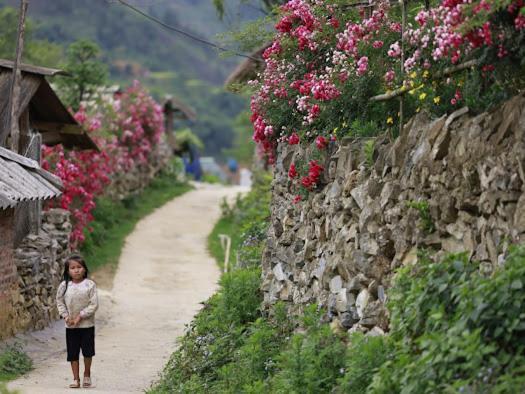 H'Mong Co Tran Sapa Homestay Dış mekan fotoğraf