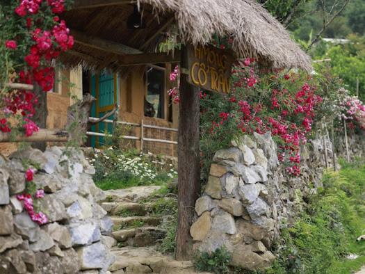 H'Mong Co Tran Sapa Homestay Dış mekan fotoğraf