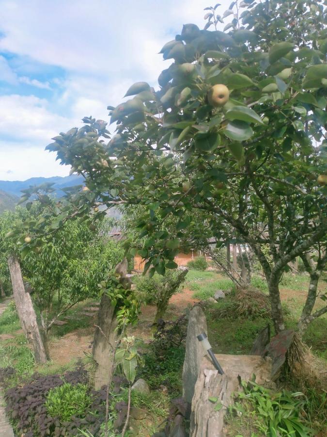 H'Mong Co Tran Sapa Homestay Dış mekan fotoğraf