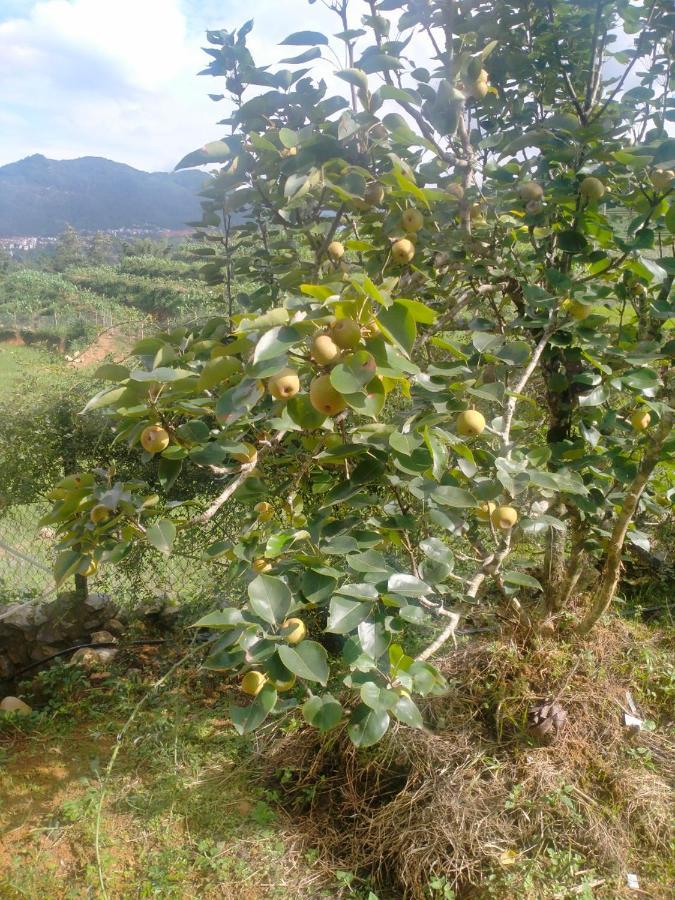 H'Mong Co Tran Sapa Homestay Dış mekan fotoğraf
